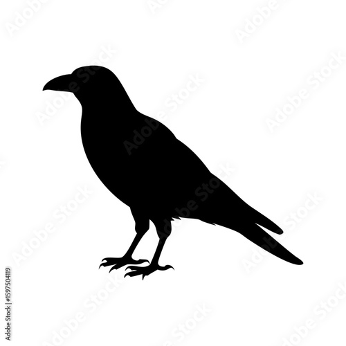 Crow Vector Silhouette Bird Graphic