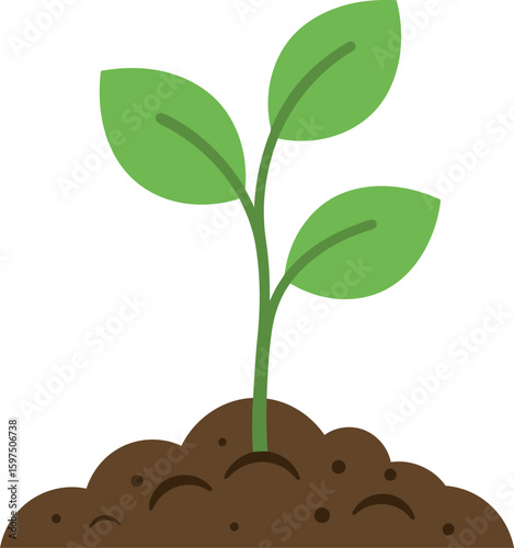 Green sprout growing from soil new life