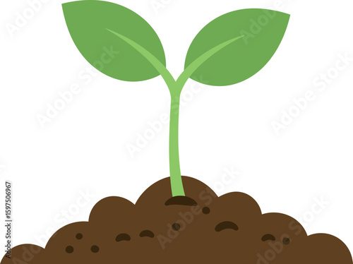 Green sprout growing from soil new life growth concept
