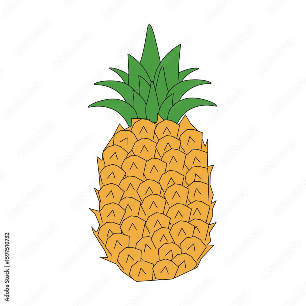 Obraz premium Sketch pineapple. Vector illustration of simple pineapple isolated transparent background. Perfect Summer fruit graphic element. Ideal fabric textile decor object. EPS 10