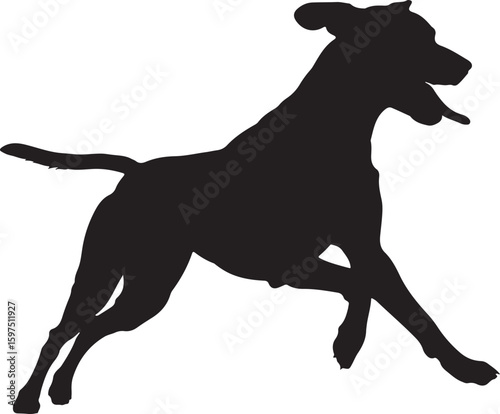 Energetic dog silhouette running and playing happily, full of joy and boundless energy