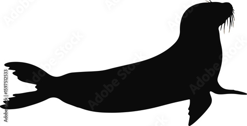 Seal silhouette in side profile, showcasing wildlife animal illustration in black color design