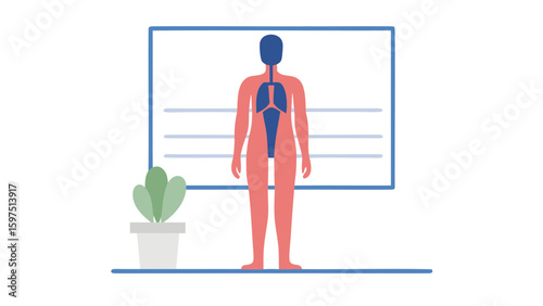 human anatomy with lungs on a chart next to a potted plant in a room setting