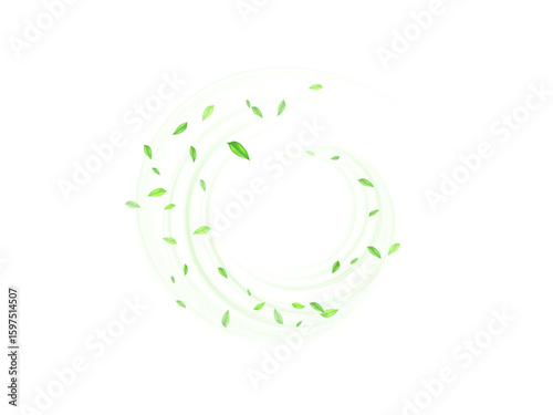 Green air flow effect with flying mint, tea leaves. Bright green swirl isolated on white background PNG, vector abstract illustration for advertising, drinks, food and cosmetics.
