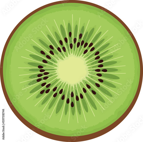 Fresh kiwi slice vibrant green fruit isolated