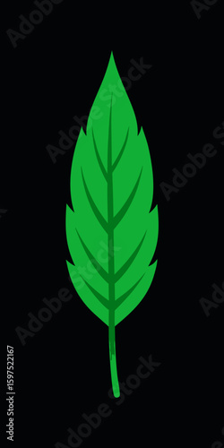 Simple green leaf illustration against a black background perfect for design projects