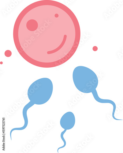 Fertilization sperm approaching egg