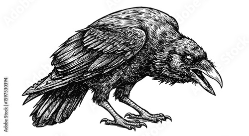 Vintage ink sketch of a zombie crow for Halloween decor, hand-drawn black and white illustration vector