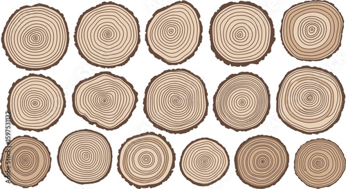 Tree ring pattern vector illustration for background design wood texture tree stump log slice set design