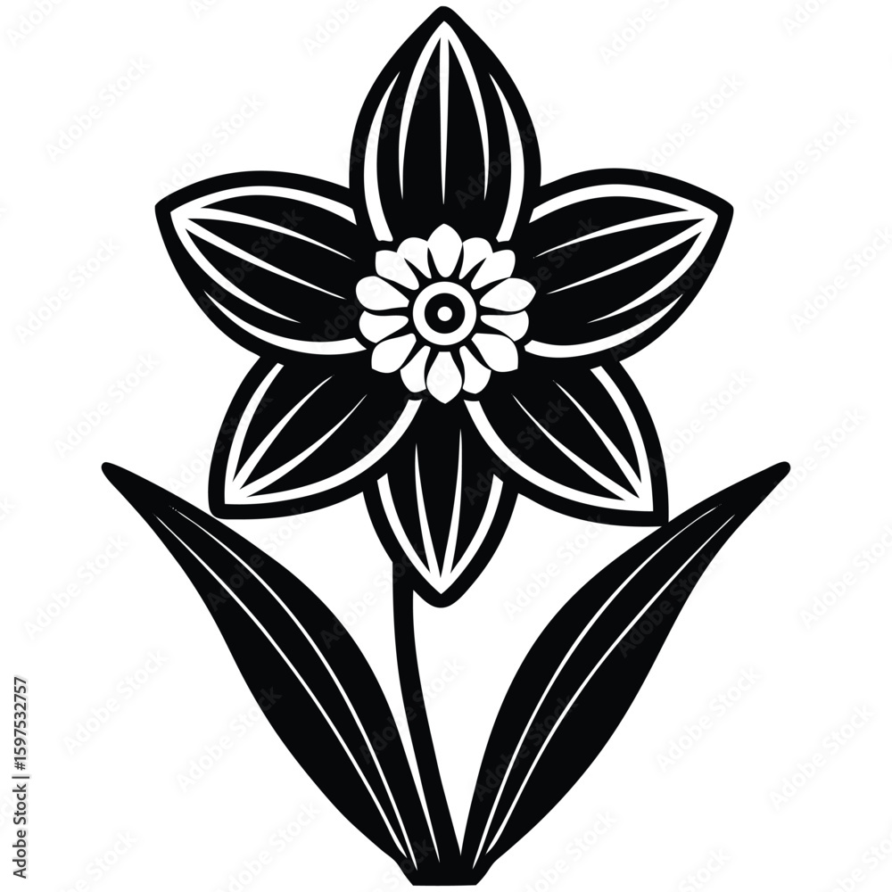 Obraz premium A stunning black and white lily, elegantly isolated and perfect for any design