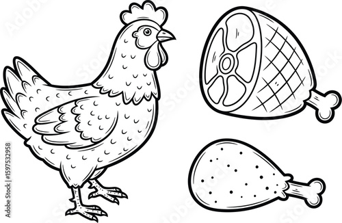 Chicken with ham and drumstick outlined for coloring book or other use