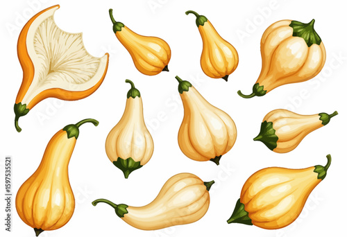 Collection of yellow squash vegetables on white background  