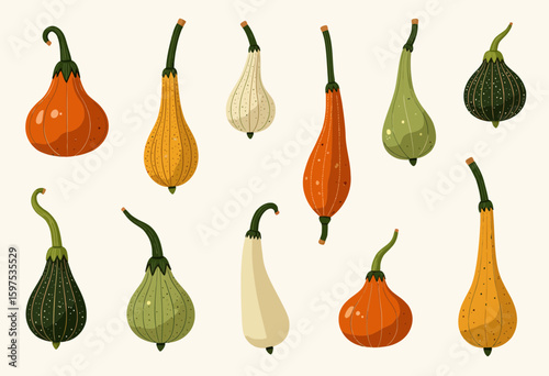 Assorted pumpkins and gourds in various shapes and colors  