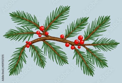 Pine branch with red berries on light blue background  