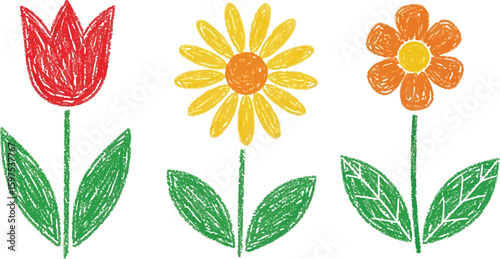 Cute flower drawing for kids, tulip daisy and orange flower crayon drawing on white background, floral art