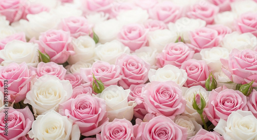 bouquet of pink roses