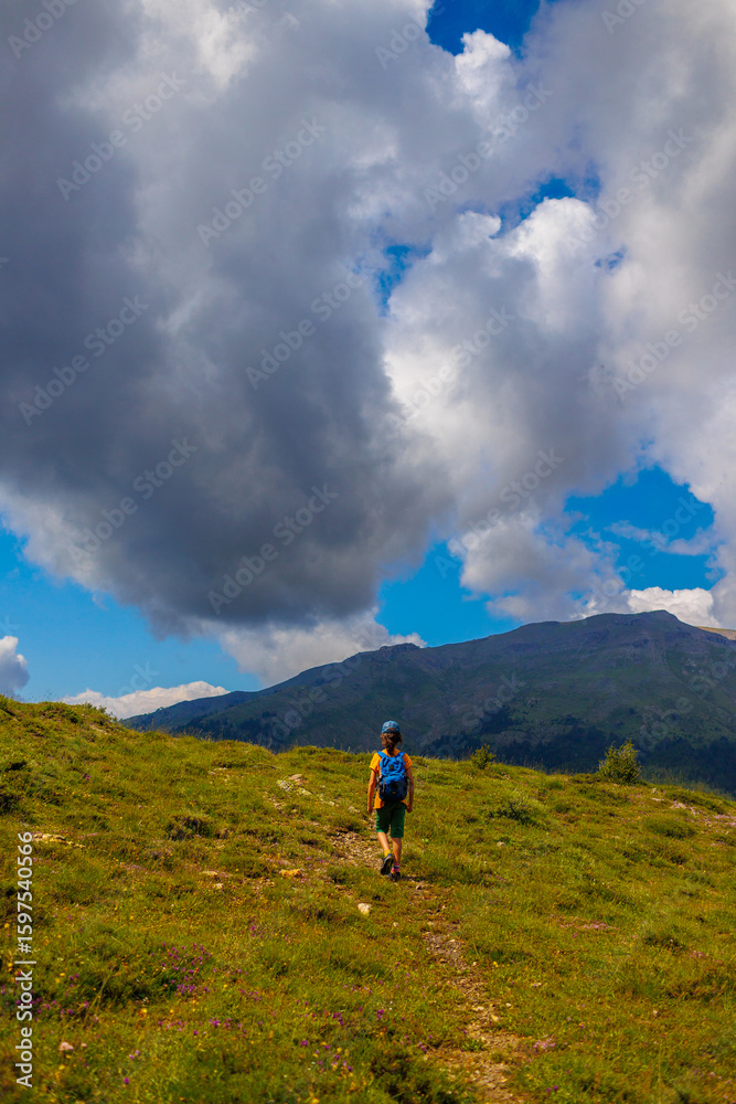 Fototapeta premium hiking in the mountains. A little boy with a backpack walks along a path against a backdrop of mountains with his back to the camera.