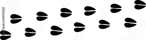 Deer hoof prints pattern isolated on white background