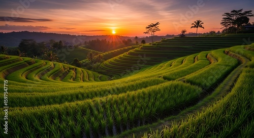 Beautiful Sunrise Over Lush Green Rice Terraces