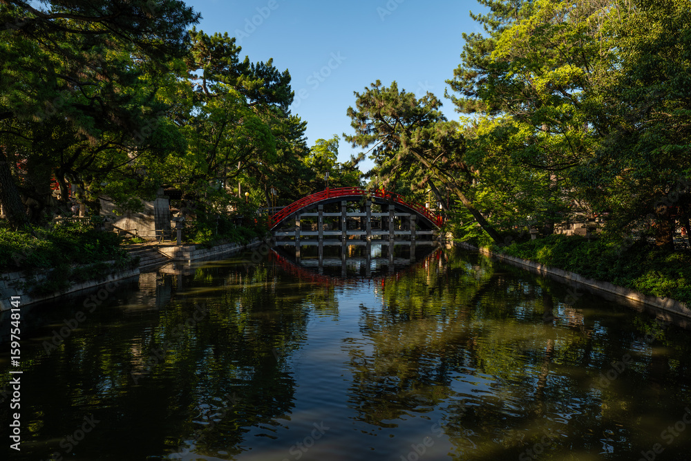 Obraz premium 日本、大阪、住吉大社、神社、青空、木、緑、夏、木造の建物、鳥居、橋、写真素材