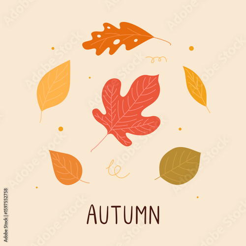 Colorful autumn leaves. Oak, birch, maple leaves. Various woodland leafage. Vector illustration