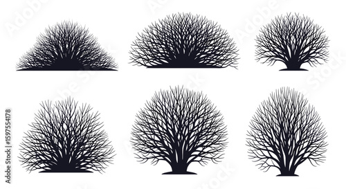 Collection of textured silhouettes of deciduous trees and shrubs in various shapes