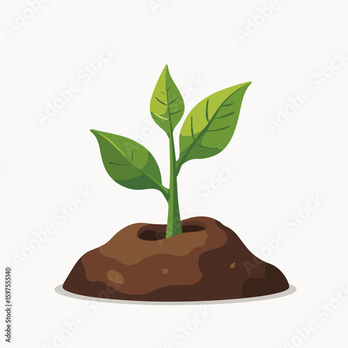 Growing plant in soil with fresh green leaves sprouting from rich earth. New plant symbolizing growth and renewal emerges from fertile soil, representing nature's resilience and vitality.