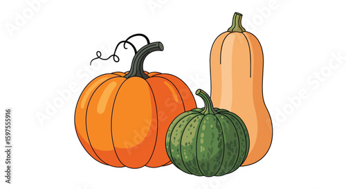 Autumn harvest pumpkins gourds squash fall seasonal vegetables produce