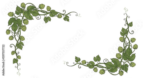 Decorative green leafy vine corner flourish ornaments for design and craft projects