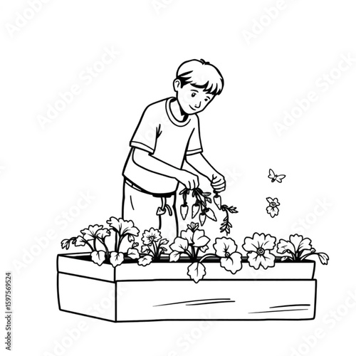 A city gardener harvesting carrots from a rooftop box