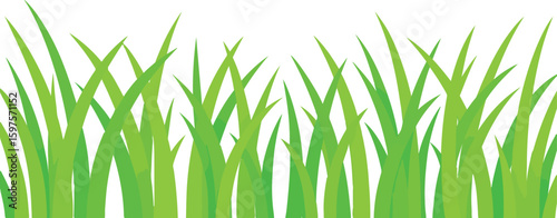 Bright green grass blades against a white sky. Vector