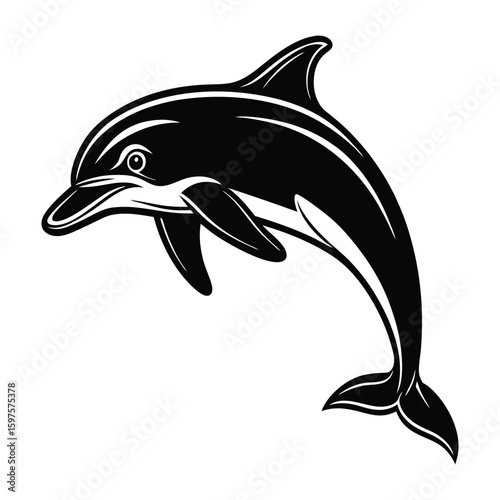 A vector illustration of a dolphin isolated on a white background