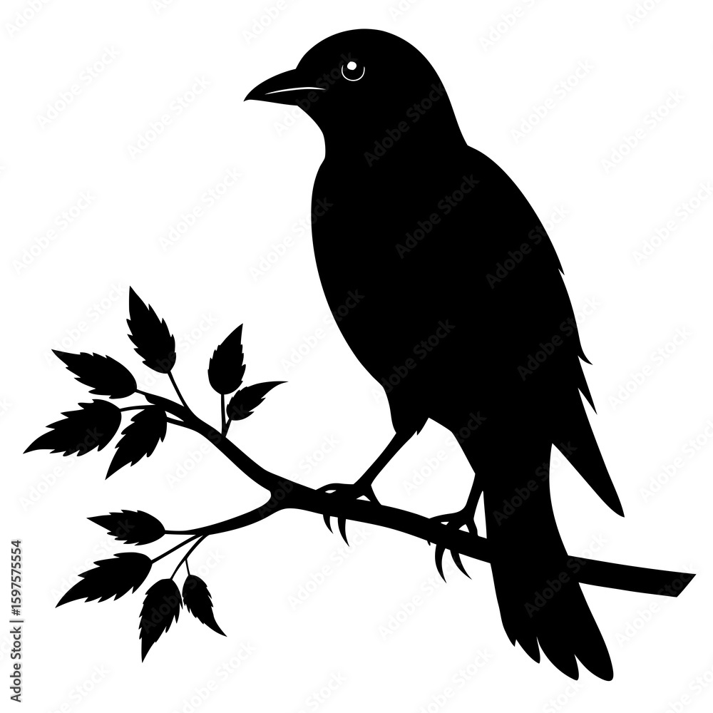 Obraz premium Bird sitting on branch silhouette vector