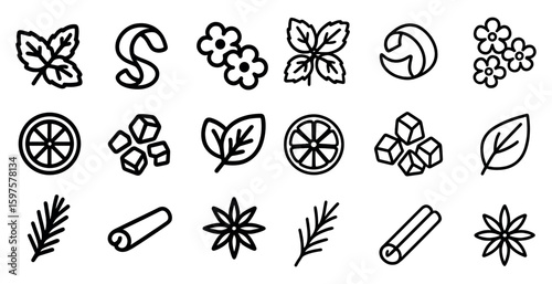 Botanical and herbal outline icons set – linear, nature, plant symbols for design