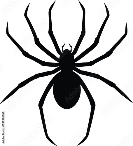 Brown Recluse Silhouette Vector Art Illustration