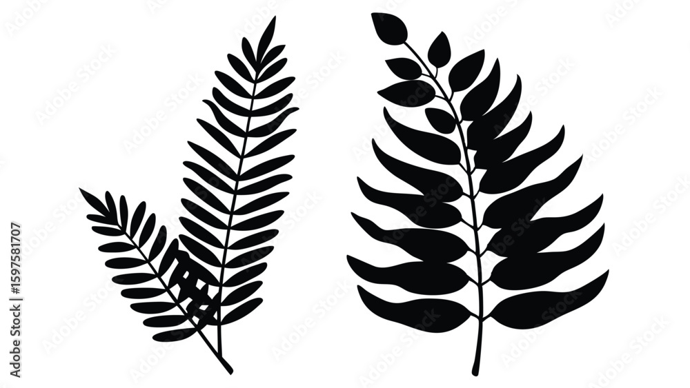 Minimalist Eucalyptus and Fern Leaf Doodles Botanical Vector Design Elements Minimalist Eucalyptus and Fern Leaf Doodles Botanical Vector Design Elements