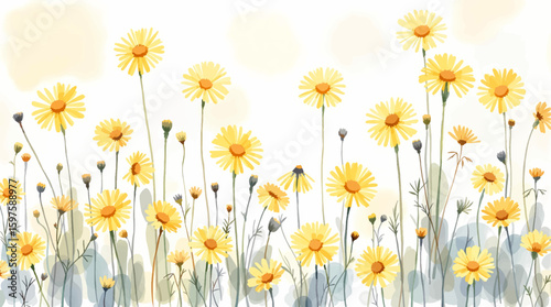 Abstract spring floral art background vector illustration. Watercolor hand painted botanical flower, leaves, eucalyptus, wildflower. Design for wallpaper, banner, card, print, wedding.