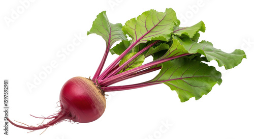 Isolated Beetroot with Leaves