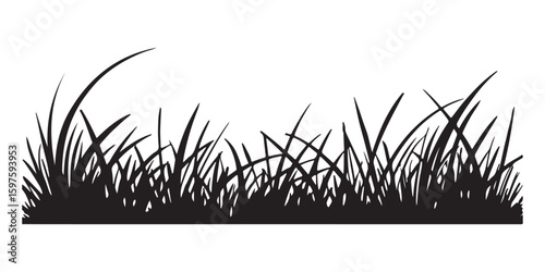 Silhouette of Grass Blades Growing in Patch on a White Background