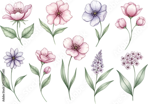 Delicate watercolor floral illustrations featuring a variety of soft pink purple and blue blooming flowers with green leaves