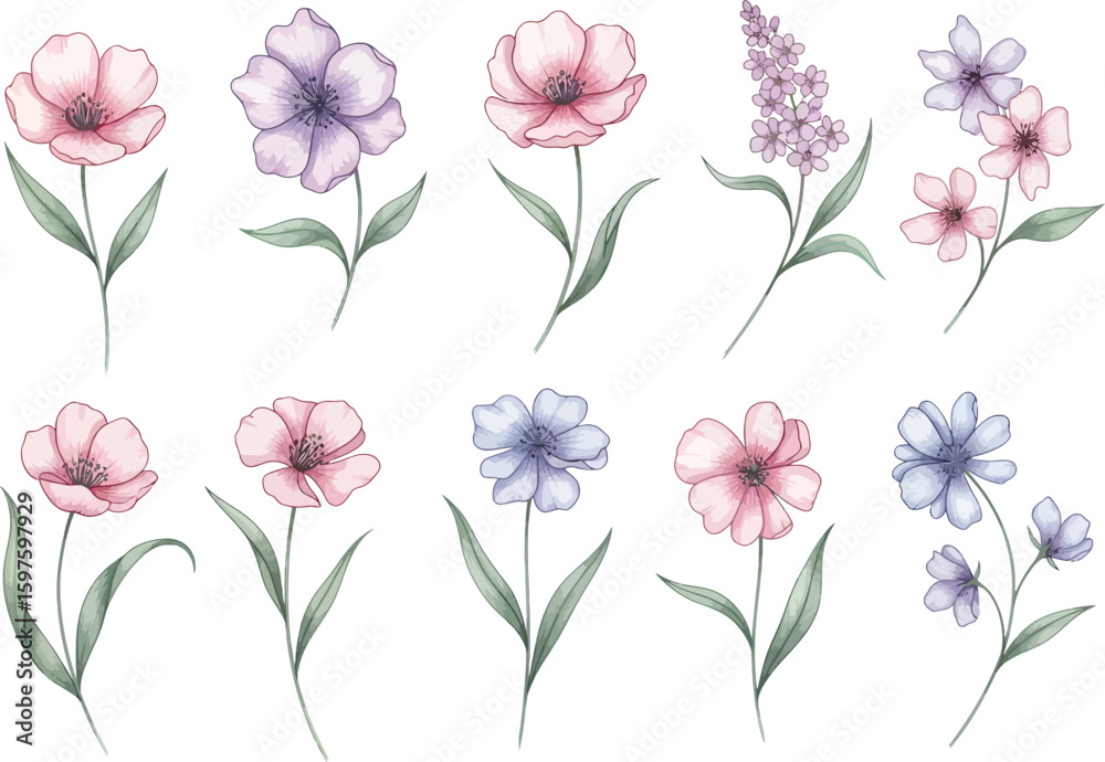 Fototapeta premium Collection of delicate watercolor floral illustrations featuring soft pink purple and blue blossoms on white background