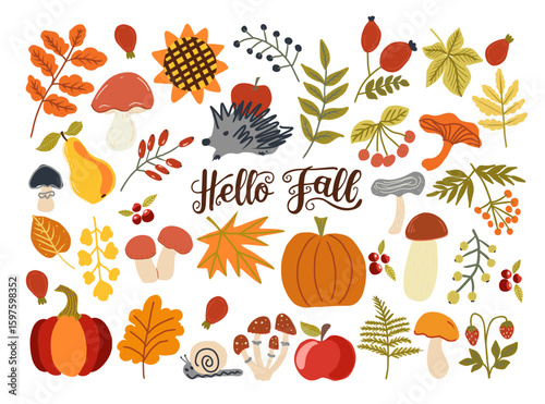 Hello Fall lettering, autumn decorative vector card.