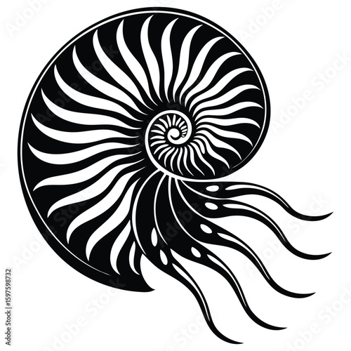 Vector illustration of an isolated spiral seashell, ammonite, or nautilus, abstract black and white snail shell pattern