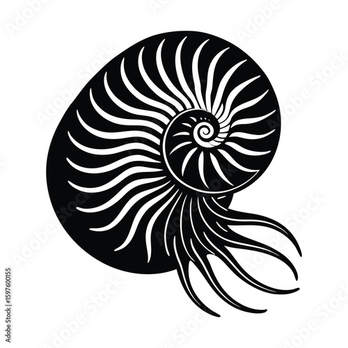 Abstract vector illustration of a nautilus seashell and snail with a spiral Fibonacci pattern, perfect for nature and marine designs