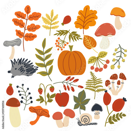 Autumn set of vector illustrations with berries, fruits, vegetables, fall leaves, mushrooms. Flat style.