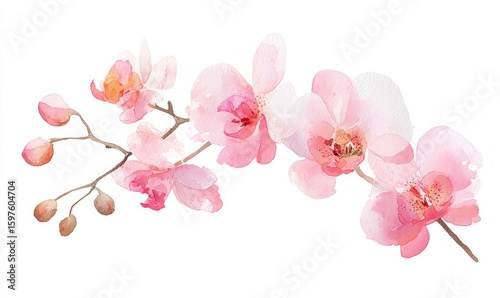 A delicate watercolor illustration set against a clean white backdrop showcases a pink orchid flower with soft green leaves, exemplifying elegant botanical artwork