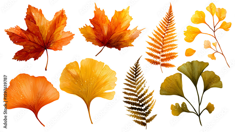 Obraz premium Collection of autumn leaves and fern fronds in vibrant fall colors isolated on transparent background