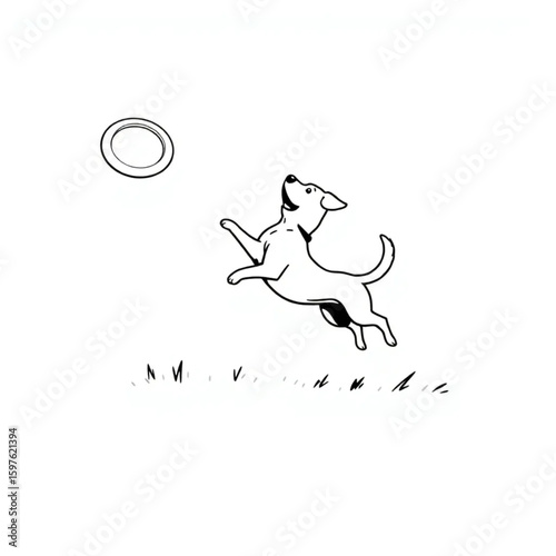 A dog leaping to catch a frisbee in a patch of sunlight