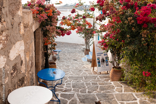 Obraz na plátně Narrow Street with Bougainvillea and Sea View in Plaka, Milos