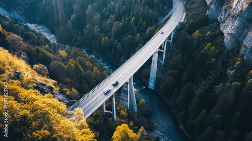 Elevated highway bridge spans a forest gorge, connecting mountainsides with modern transport and nature.